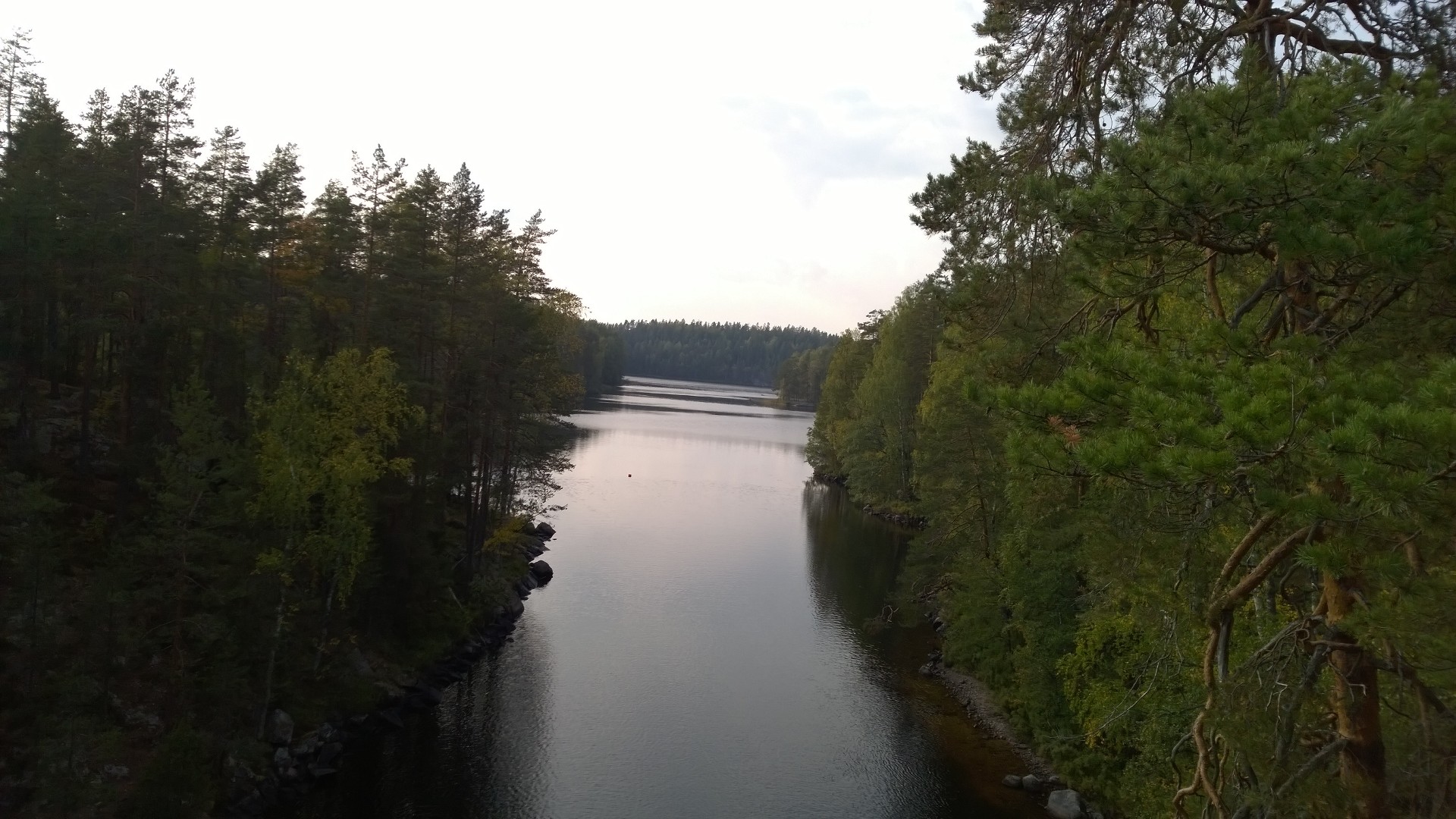 Yhteistyö